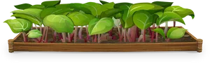 Raised Bed Garden Illustration