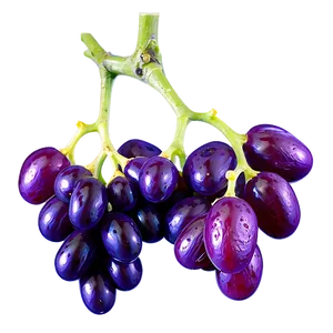 Raisins On Vine PNG Nyy