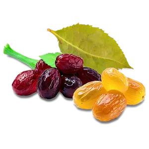 Raisins With Leaves PNG Nds
