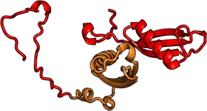 Rakhi Festival3 D Molecular Structure PNG image