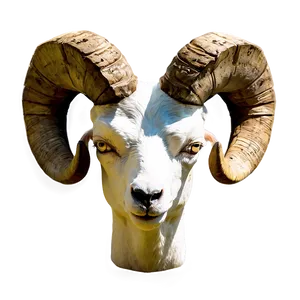 Ram Head C PNG image