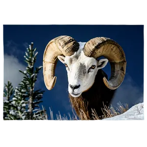 Ram Head In Snowy Landscape PNG Klc
