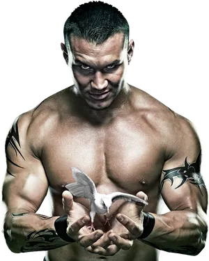 Randy Orton Dove Power Pose PNG image