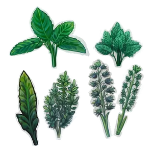 Rare Herb PNG Jek75 PNG