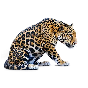 Rare Jaguar PNG 05212024