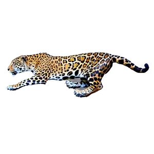 Rare Jaguar PNG 53