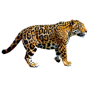 Rare Jaguar Png Acq PNG image