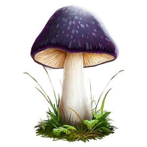 Rare Mushrooms Png Bgw45 PNG image