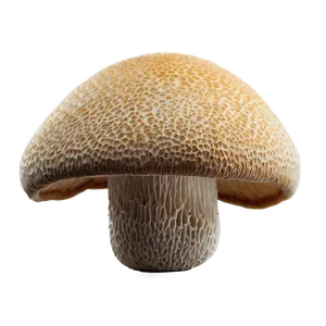 Rare Mushrooms Png Inb96 PNG image