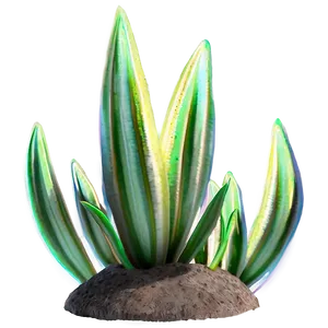 Rare Plants Png 23 PNG image