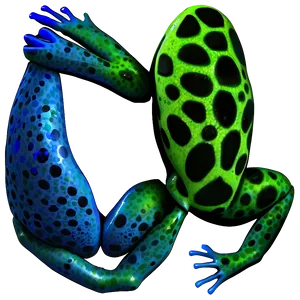 Rare Poison Dart Frog Png 06132024 PNG image