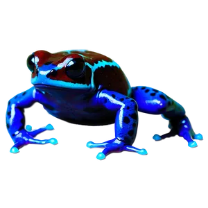 Rare Poison Dart Frog Png 84 PNG image