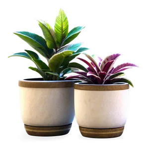 Rare Potted Plants PNG 59 PNG