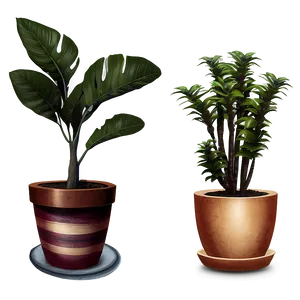Rare Potted Plants PNG 71 PNG