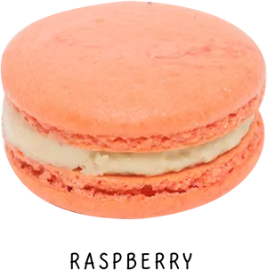 Raspberry Macaron Delicious Treat PNG image