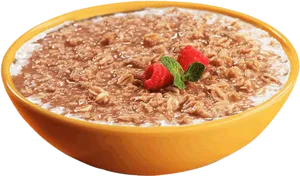 Raspberry Topped Oatmeal Bowl PNG image