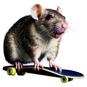Rat On Skateboard Png Jvp71 PNG image