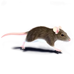 Rat Running Animation Png 05042024 PNG image