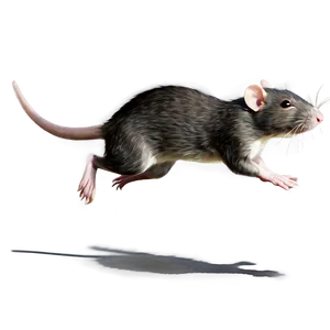 Rat Running Animation Png 90 PNG image