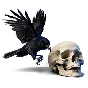 Raven And Skull PNG Uly64