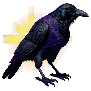 Raven Artwork PNG Ity37 PNG