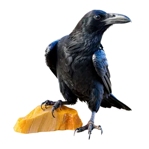 Raven Carrying Gemstone Png Toq36 PNG image