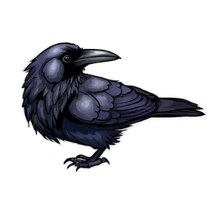Raven Drawing PNG 62