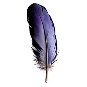 Raven Feather Close-up PNG Jmj1