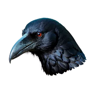 Raven Head Png Ywh85 PNG image