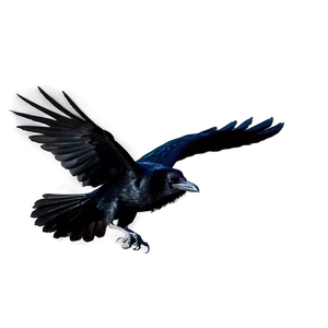 Raven In Flight PNG 05062024
