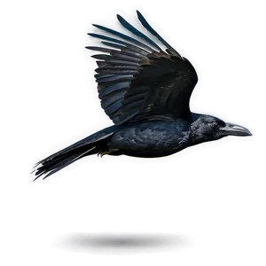 Raven In Flight PNG 05062024