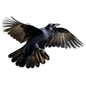 Raven In Flight PNG 05062024