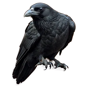 Raven In Gothic Style PNG Vvm17 PNG