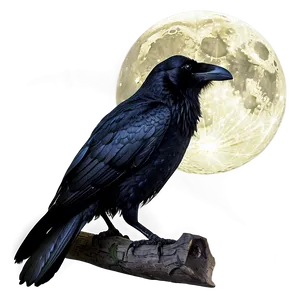 Raven In Moonlight PNG 49
