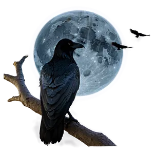 Raven In Moonlight PNG Mwl