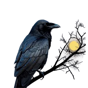 Raven In Moonlight PNG Tlm