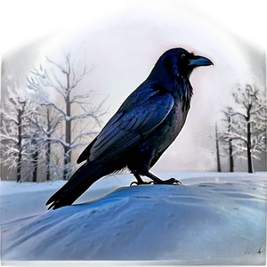Raven In Snow Landscape PNG 92 PNG