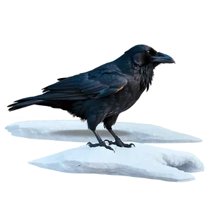 Raven In Snow Landscape Png Qav64 PNG image