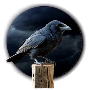 Raven In Stormy Sky PNG 81