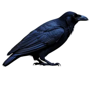 Raven In The Night Png Hhh PNG image