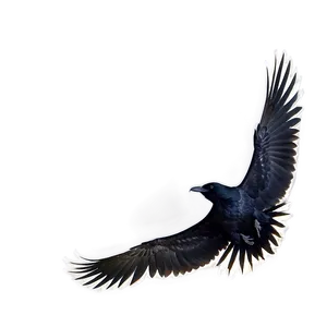 Raven Landing PNG 05062024 PNG