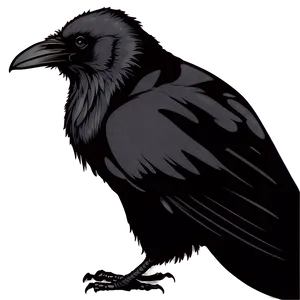 Raven Outline PNG Cqm52