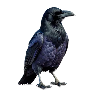 Raven Outline PNG Nij
