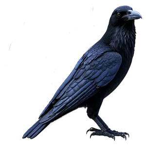 Raven Outline Png Owm25 PNG image