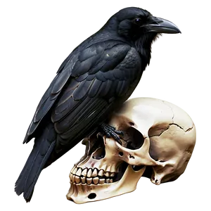 Raven Perched On Skull PNG 06122024
