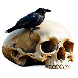 Raven Perched On Skull Png Iyd1 PNG image