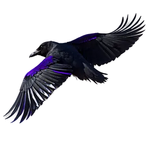 Raven Profile View PNG Kww49