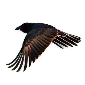 Raven Silhouette In Flight PNG 06122024 PNG