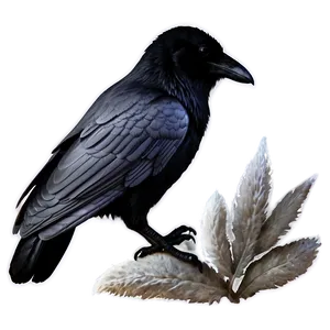 Raven Silhouette On White PNG 05062024 PNG