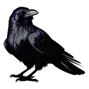 Raven Silhouette On White PNG 41